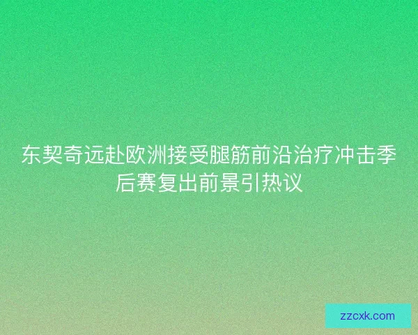 东契奇远赴欧洲接受腿筋前沿治疗冲击季后赛复出前景引热议